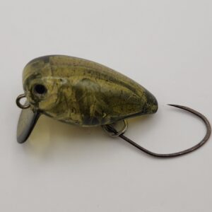 EVERGREEN Killer Bug23