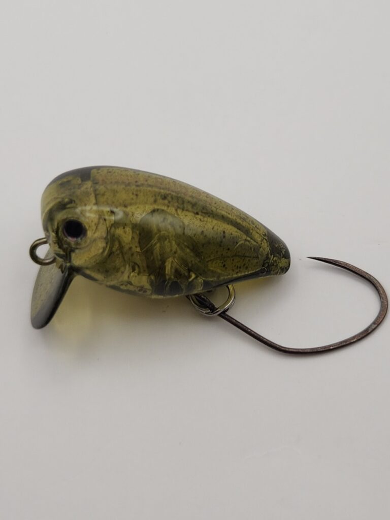 EVERGREEN Killer Bug23