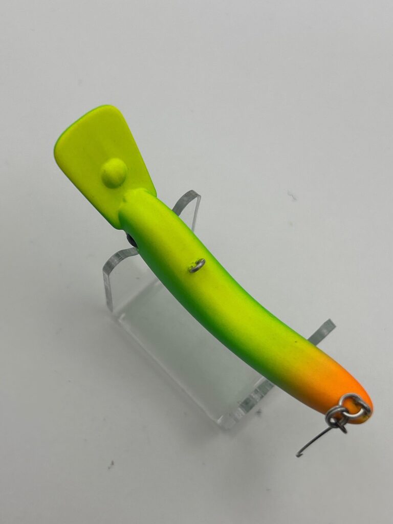 EVERGREEN Bruco image 3