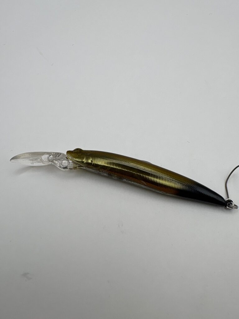 Bassday Fly Hatch
