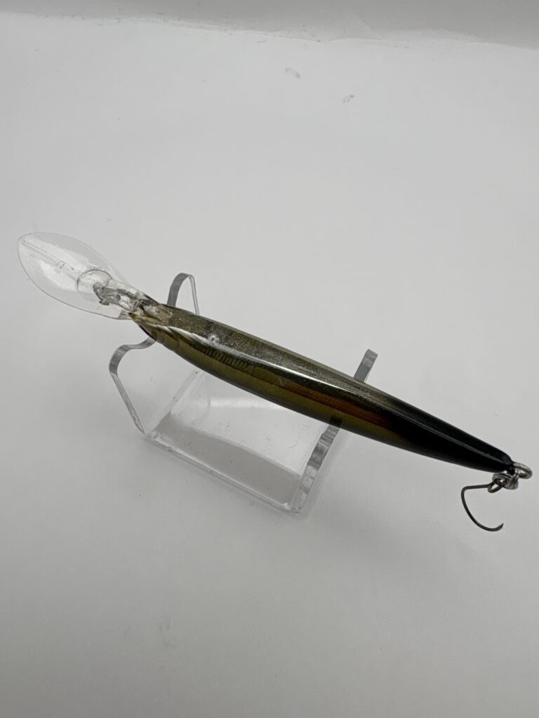 Bassday Fly Hatch image 3