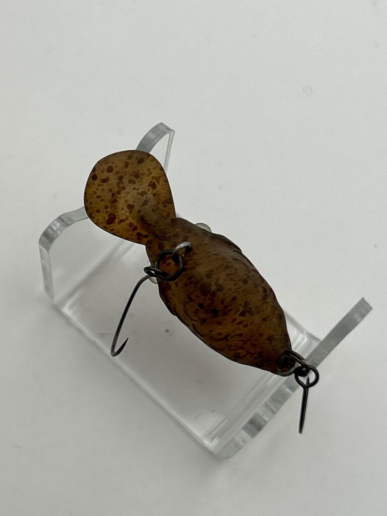 Sauribu esca image 3