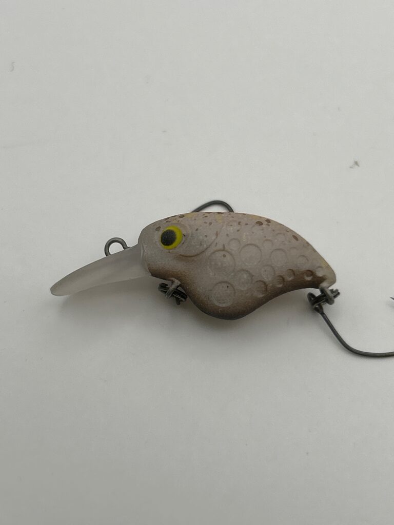 Sauribu esca