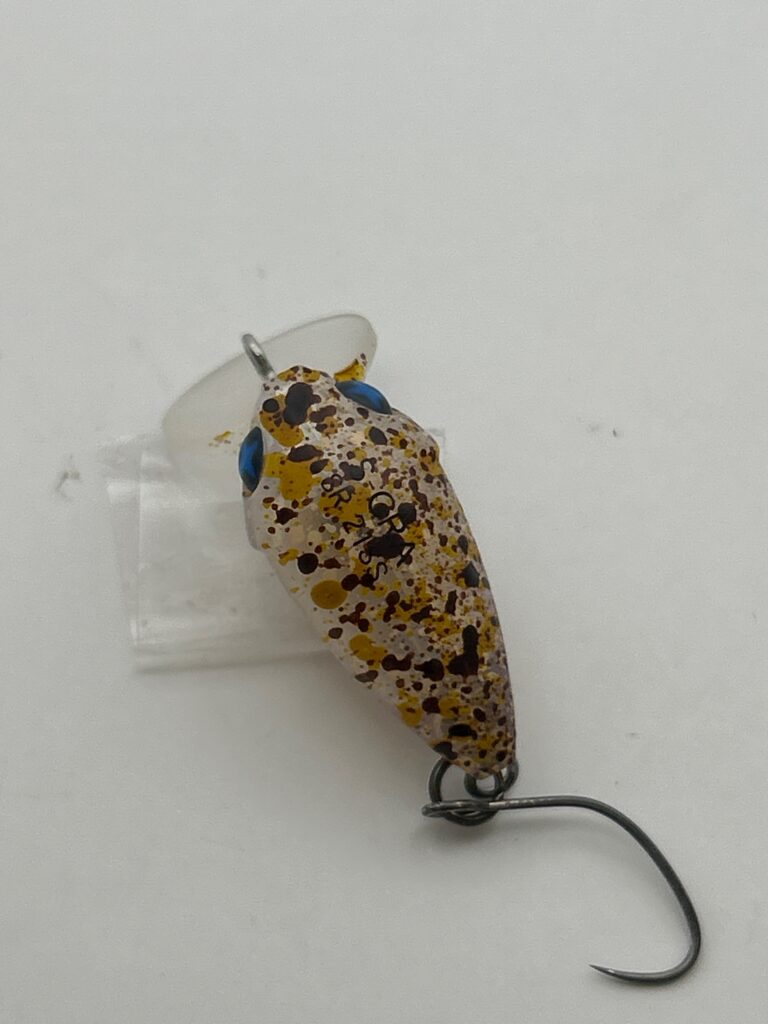 Forest S-CRA 21SS image 2