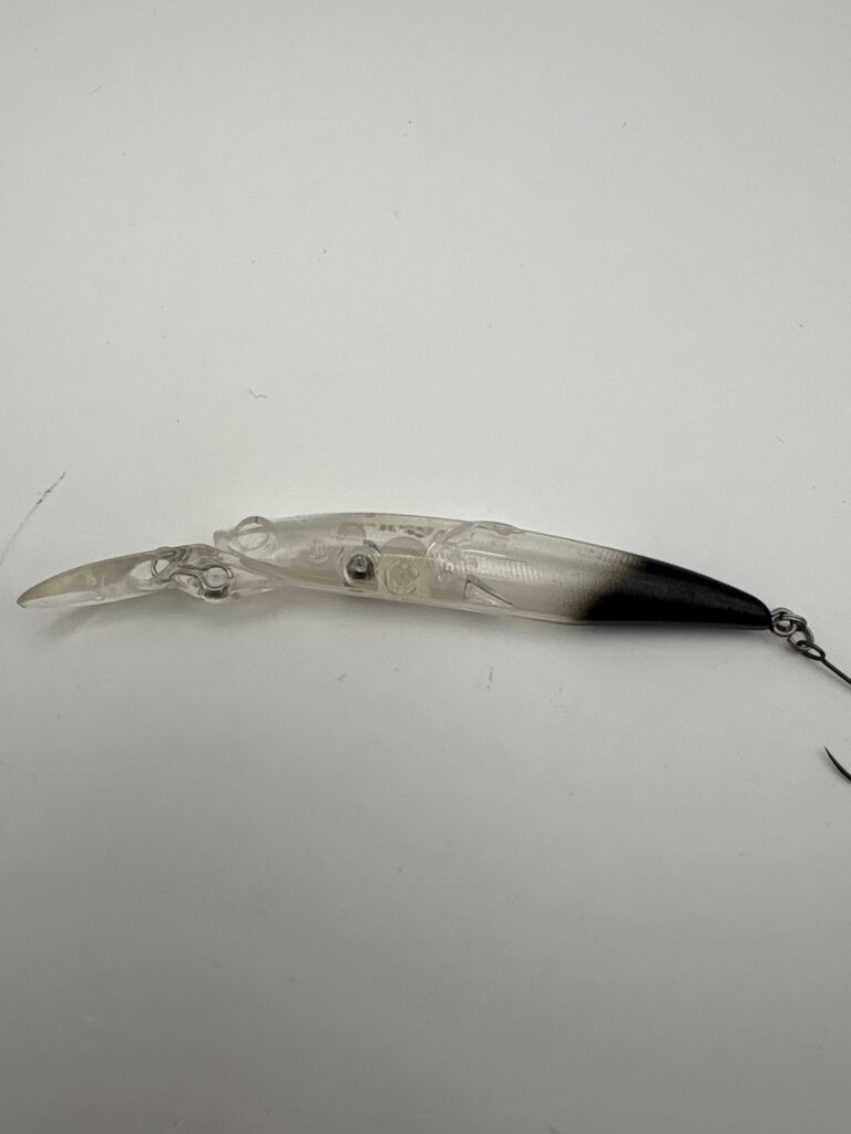 Bassday Fly Hatch