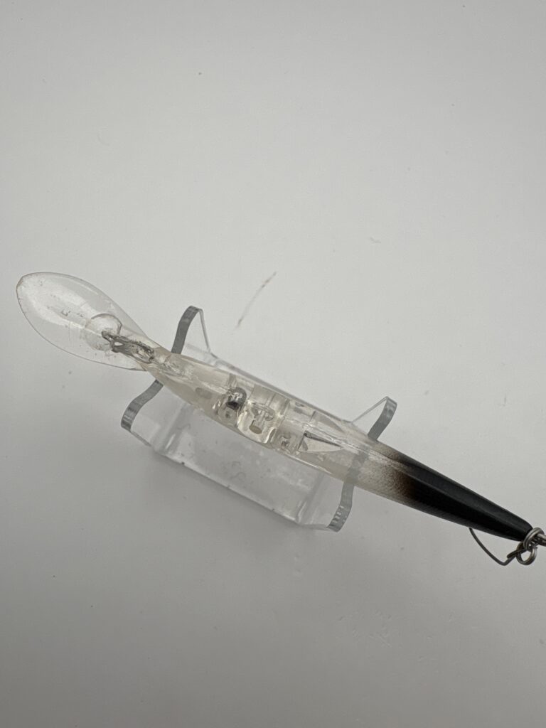 Bassday Fly Hatch image 3
