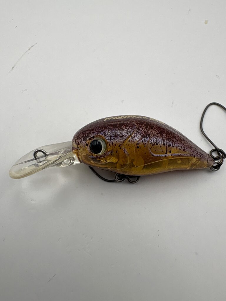Ivyline Miwa Cra