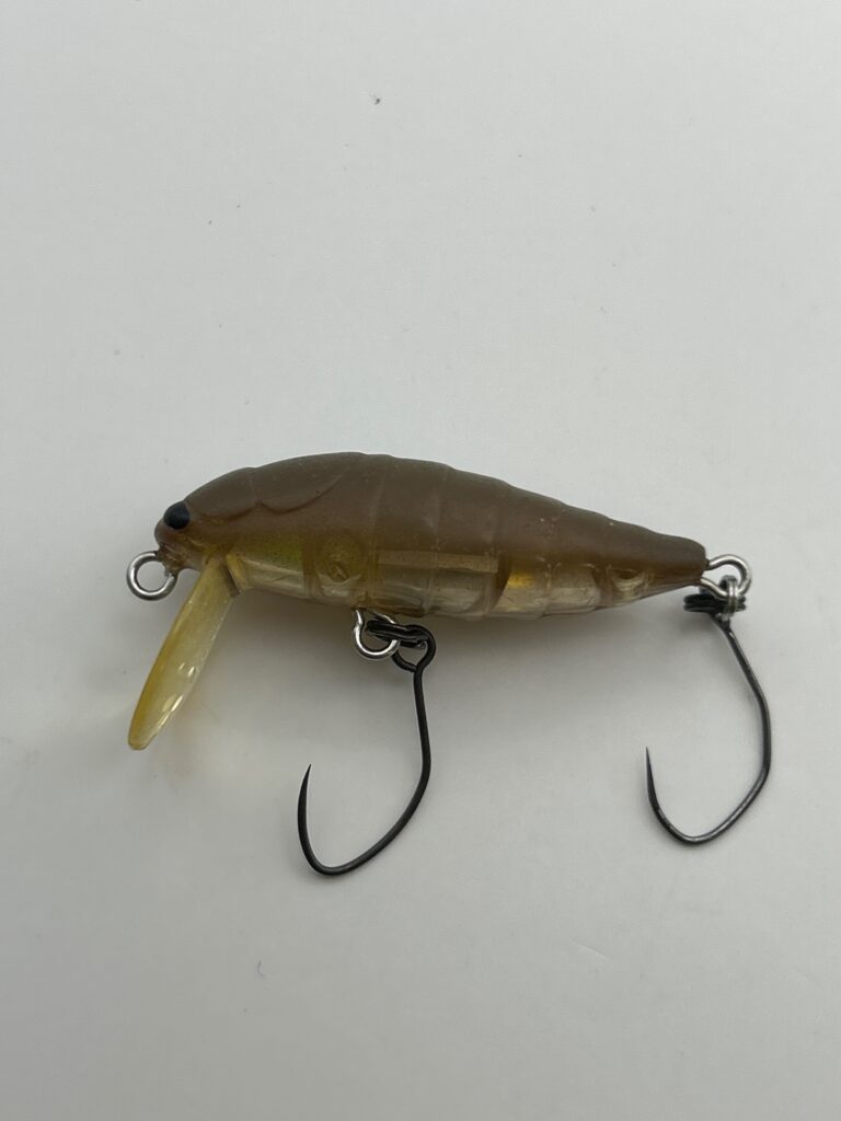 TACKLE HOUSE Cicada