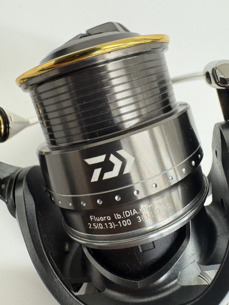 Daiwa 17 STEEZ Type1 image 22