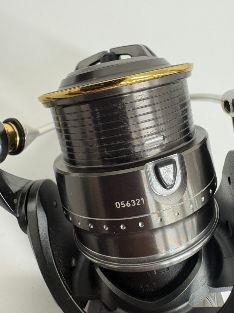 Daiwa 17 STEEZ Type1 image 21