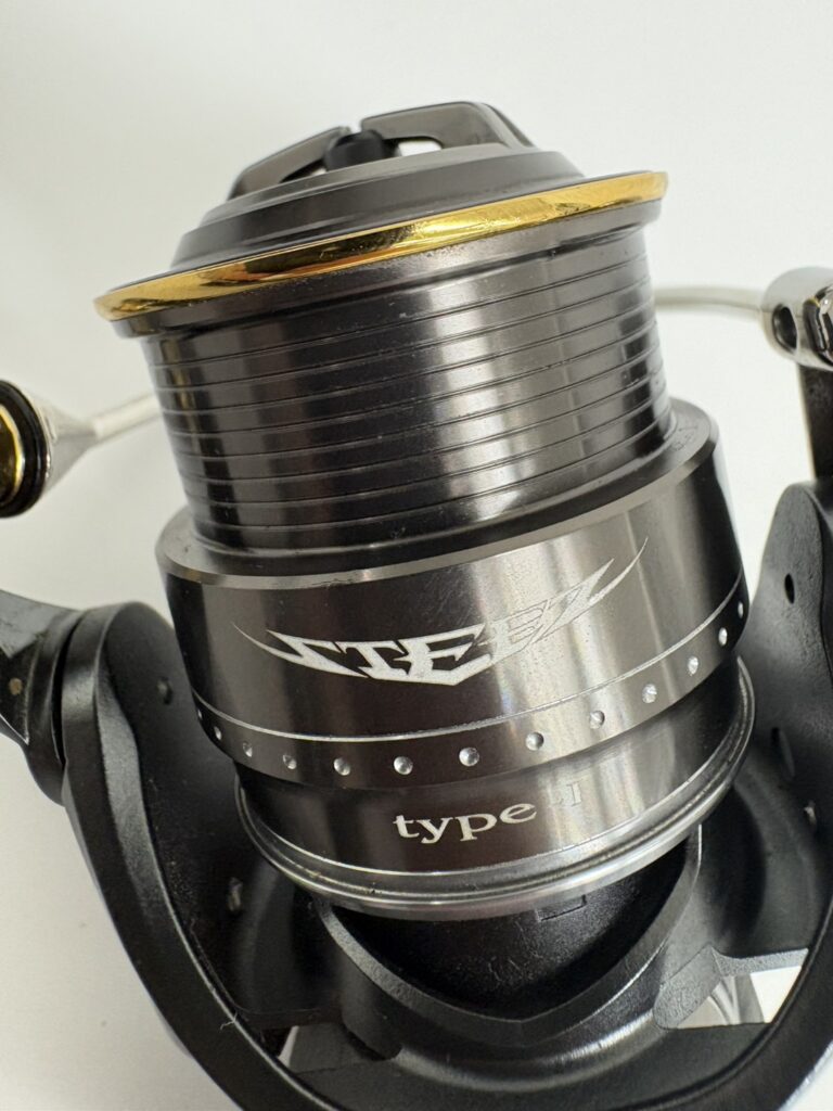 Daiwa 17 STEEZ Type1 image 20
