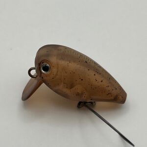 EVERGREEN Killer Bug23