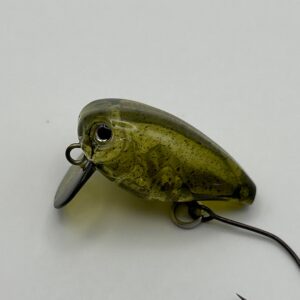 EVERGREEN Killer Bug23
