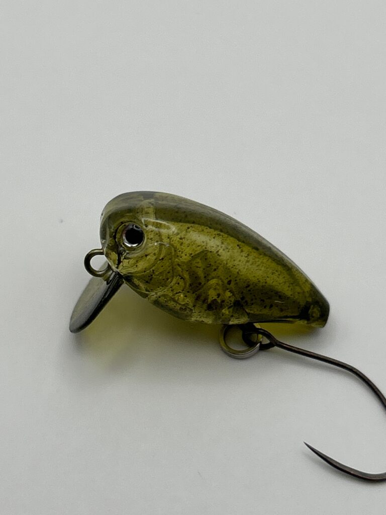 EVERGREEN Killer Bug23