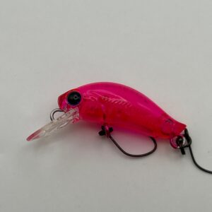 DAYSPROUT Pico Eagle Player F