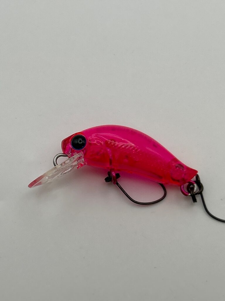 DAYSPROUT Pico Eagle Player F