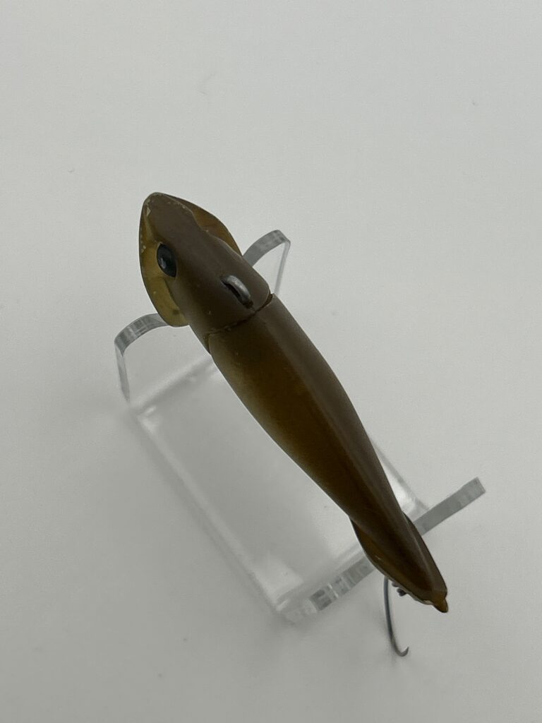 DAYSPROUT Belloga image 2