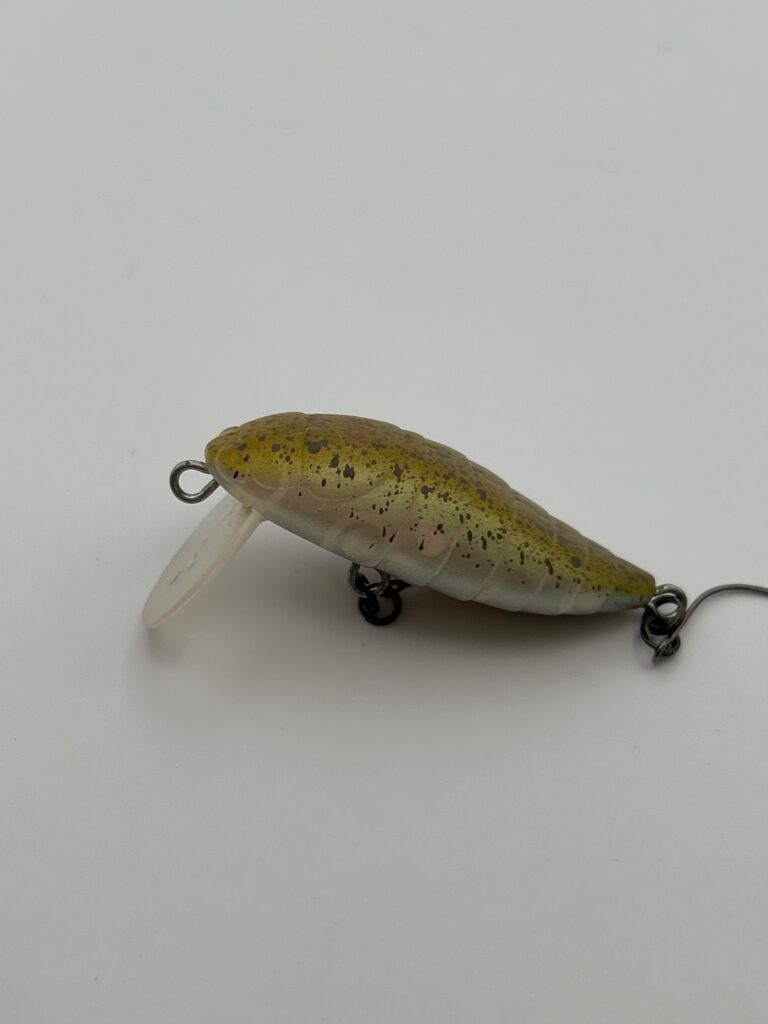 TACKLE HOUSE Cicada