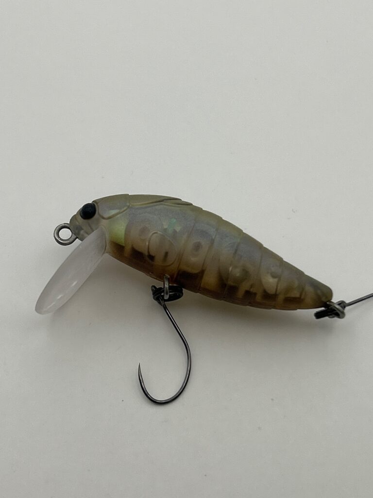 TACKLE HOUSE Cicada