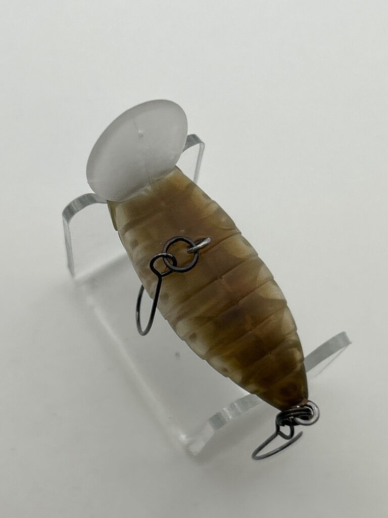 TACKLE HOUSE Cicada image 3