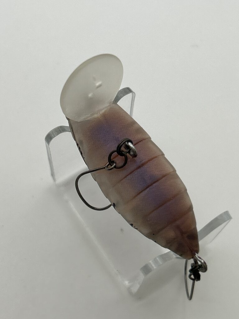 TACKLE HOUSE Cicada image 3