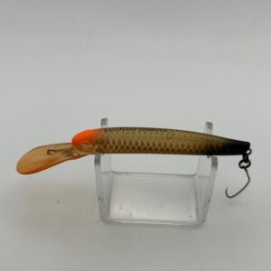 DAYSPROUT EAGLE PLAYER 50 Slim